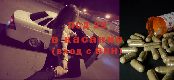стафф Аркадак