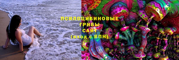 стафф Аркадак