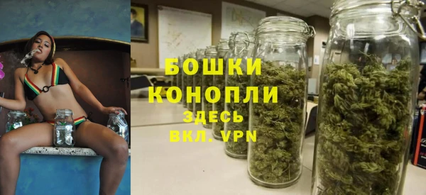 стафф Аркадак
