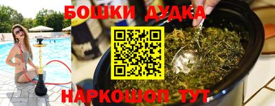 амф Шахты