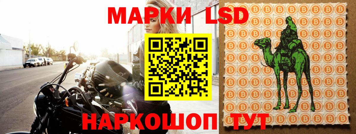 Лсд 25 экстази ecstasy  Вход с VPN  Нарткала  Лсд 25 экстази  ЛСД экстази кислота 