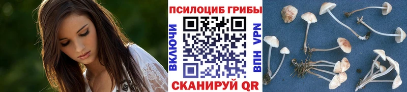Галлюциногенные грибы ЛСД  наркошоп  Нарткала 