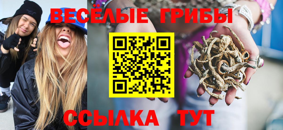 Нарткала  Галлюциногенные грибы Cubensis  Вход с VPN 