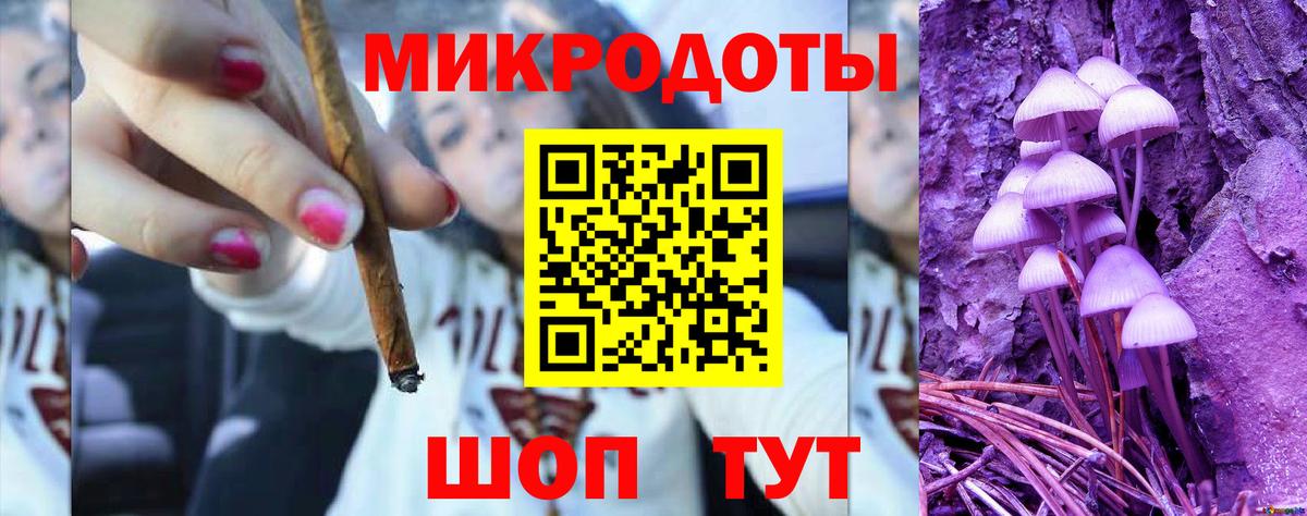 Псилоцибиновые грибы Psilocybe Нарткала